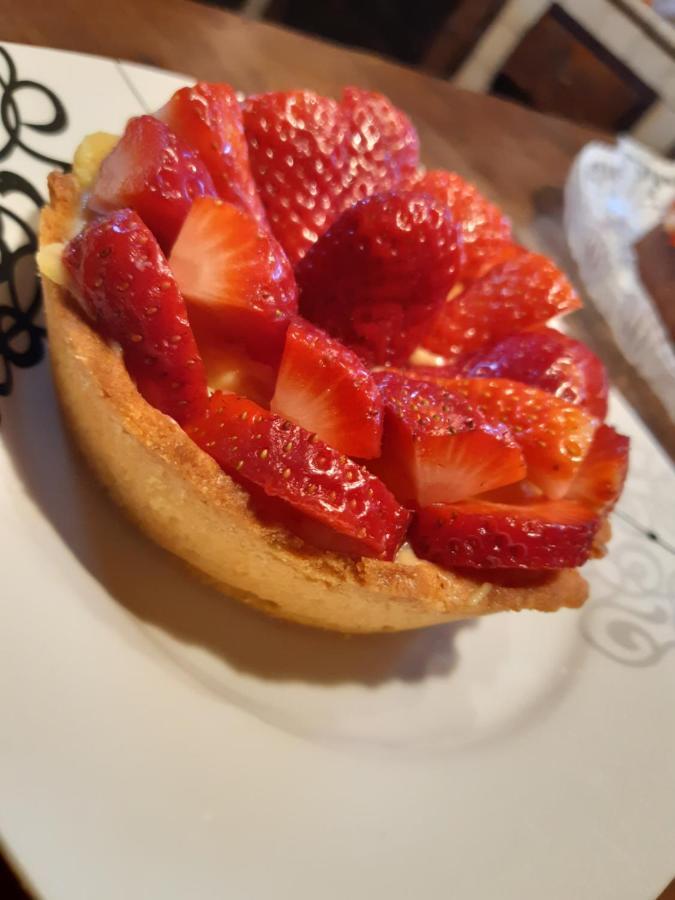 Nonna Litta Βίλα Αλμπένγκα Εξωτερικό φωτογραφία